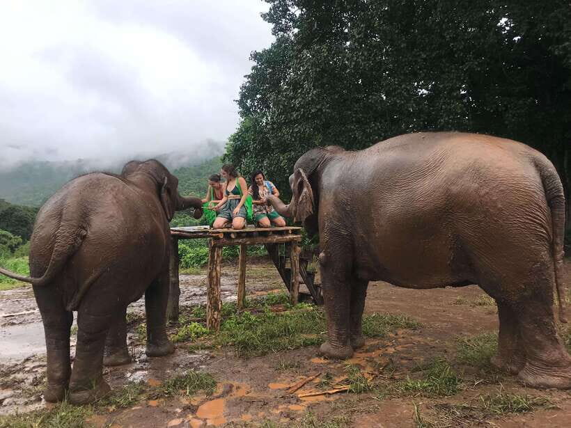 Chiang Mai: Elephant Sanctuary & Waterfall Group Tour - What to pack: your day is wet, sunny, and muddy-friendly