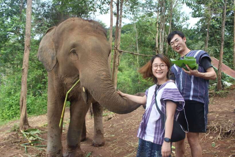 CHIANG MAI ELEPHANT VILLAGE SANCTUARY JUNGLE ADVENTURE - Market stop and scenic views: a quick look at local everyday life