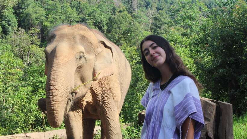 CHIANG MAI ELEPHANT VILLAGE SANCTUARY JUNGLE ADVENTURE - Waterfall cooling down and elephants in the river