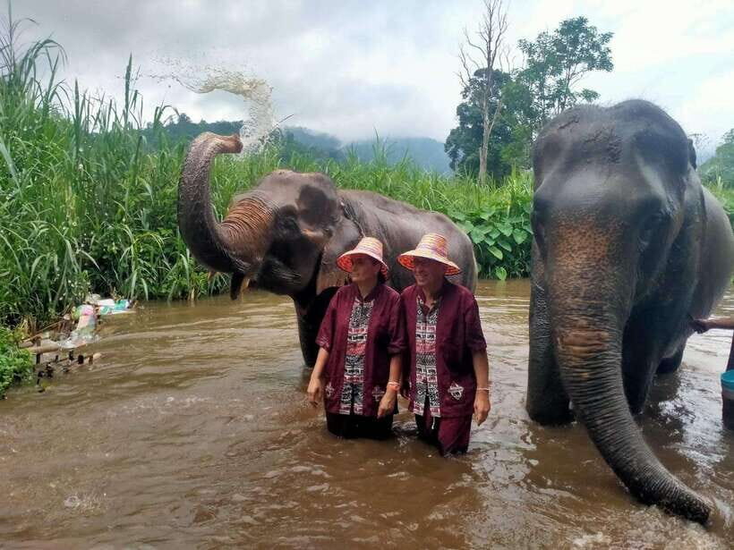 Chiang Mai: Elephants, Sticky Waterfalls, Market and Temple - Key things I think you’ll care about