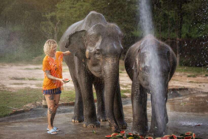 Chiang Mai: Ethical Elephant Feeding & Shower Program - How this Feed and Shower fits your Chiang Mai schedule