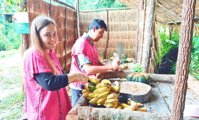 Chiang Mai: Ethical Half Day Elephant Sanctuary & Waterfall - Key things to know before you go
