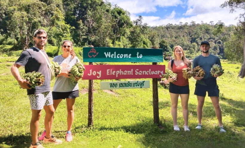 Chiang Mai: Ethical Half Day Elephant Sanctuary & Waterfall - Ethical Elephant Observation in Chiang Mai: Why Joy’s Rules Matter