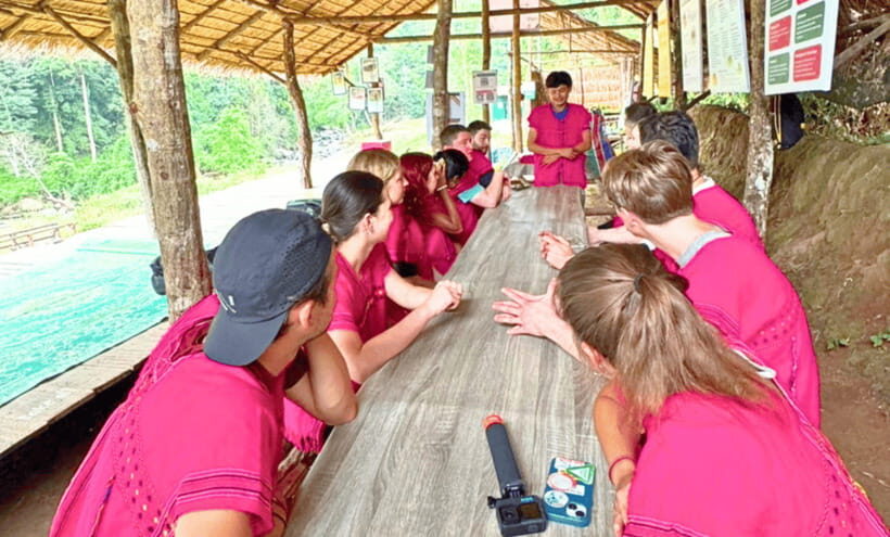 Chiang Mai: Ethical Half Day Elephant Sanctuary & Waterfall - Feeding Time: Preparing Elephant Food and Reading Elephant Behavior