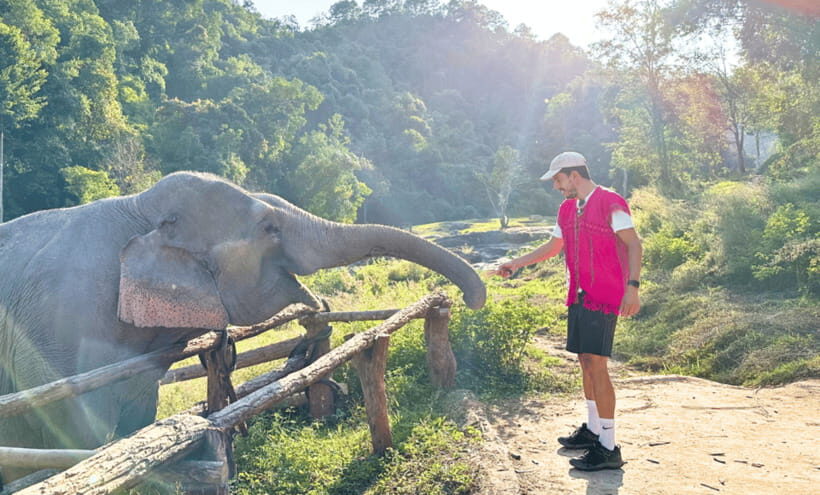 Chiang Mai: Ethical Half Day Elephant Sanctuary & Waterfall - Waterfall Break: Herbal Tea, Swimming Time, and Elephant No-Bath Rules