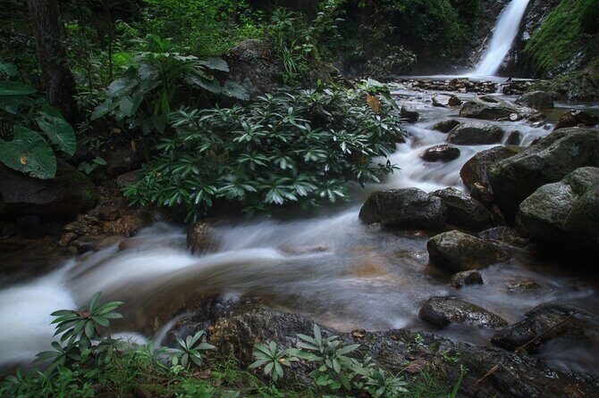 Chiang Mai Exotic Excursion Unseen Miracle of Faith To Pupadang Lampang Temple - Why the Small Group Size Makes the Day Better