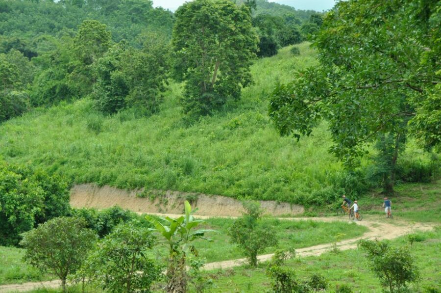 Chiang Mai Fields of Gold Cycling Tour - Key Things To Know Before You Pedal