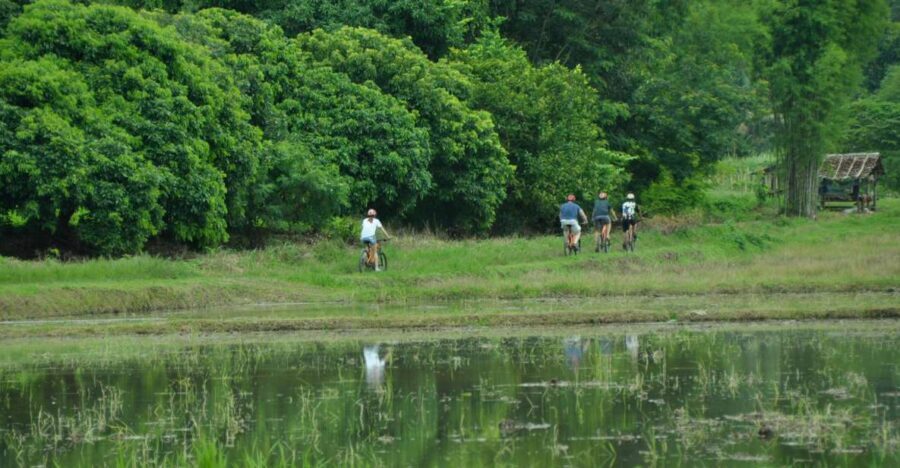 Chiang Mai Fields of Gold Cycling Tour - The Lanna Village Stops and Snack Breaks