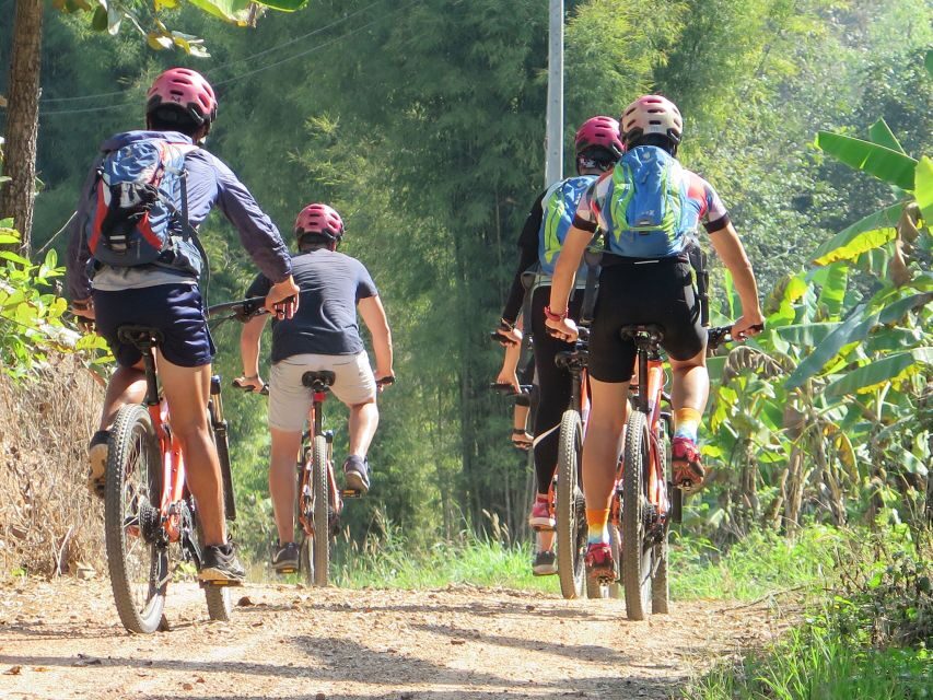 Chiang Mai Fields of Gold Cycling Tour - Who This Tour Is Best For (and Who Should Skip It)