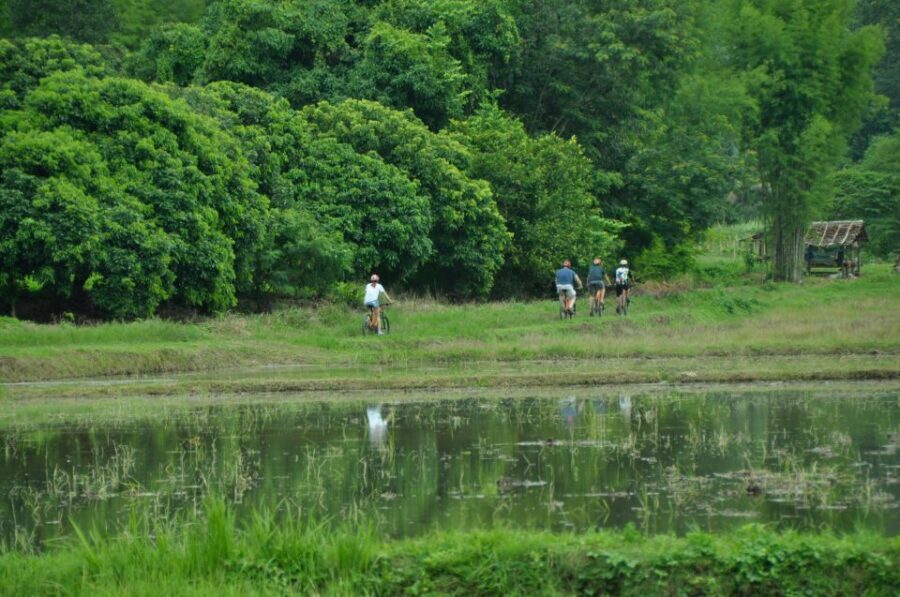Chiang Mai Fields of Gold Cycling Tour - Distance, Elevation, and Terrain: What Your Legs Will Notice