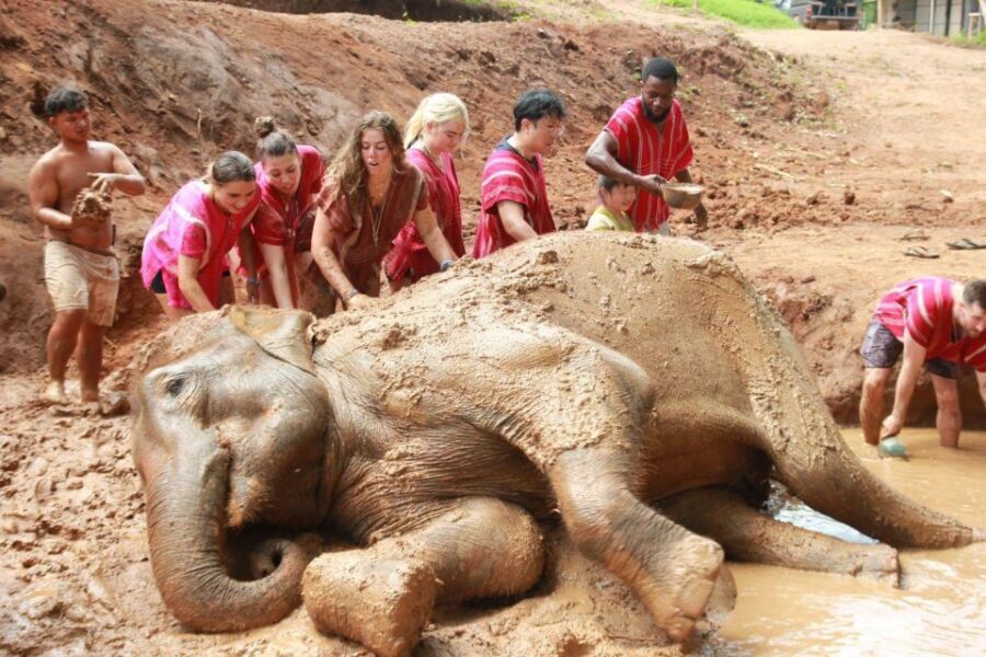 Chiang Mai: Full-Day Kerchor Elephant Eco Park Tour & Trek - Kerchor Elephant Eco Park: an ethical day with real hands-on time