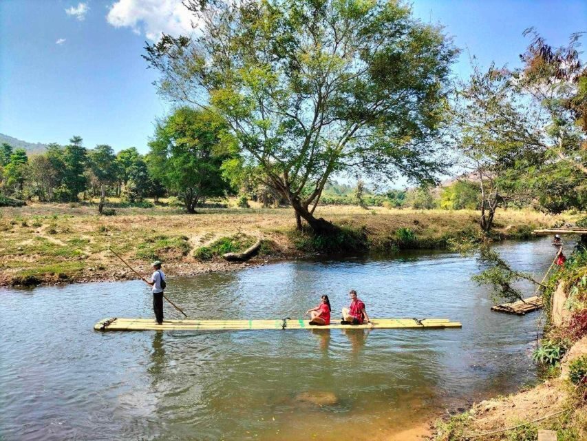 Chiang Mai: Full-Day Kerchor Elephant Eco Park Tour & Trek - How the 8 hours run: pickup, getting to the park, and staying oriented