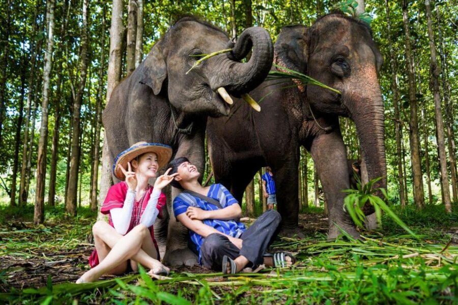 Chiang Mai: Full-Day Kerchor Elephant Eco Park Tour & Trek - Price and value check: is $57 good for this kind of day?
