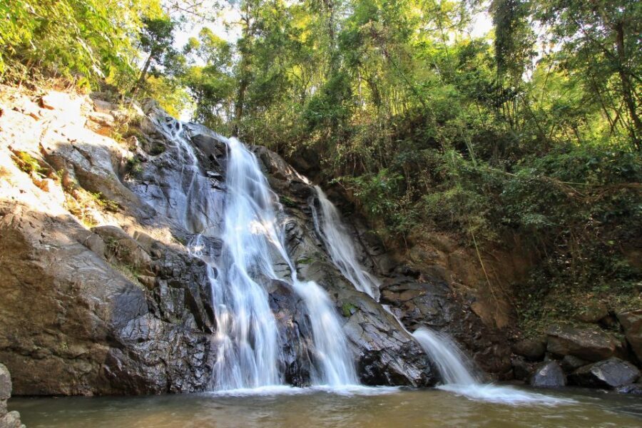 Chiang Mai: Guided Jungle and Waterfall Trek with Transfer - The 10-Meter Waterfall Swim: The Best Part, with Smart Safety Basics