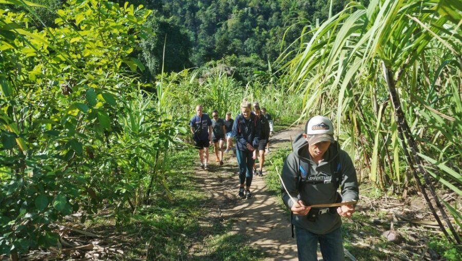 Chiang Mai: Guided Jungle and Waterfall Trek with Transfer - Getting Back to Chiang Mai: Easy Finish After a Full Half-Day