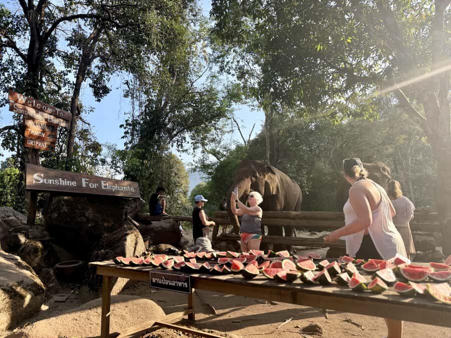 Chiang Mai Half-Day Adventure: River Tubing & Waterfall - What to bring (and what can ruin your day)