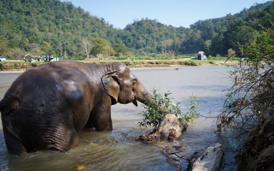 Chiang Mai Half-Day Adventure: River Tubing & Waterfall - Saa Gee Falls: slide, swim, repeat (in jungle pools)