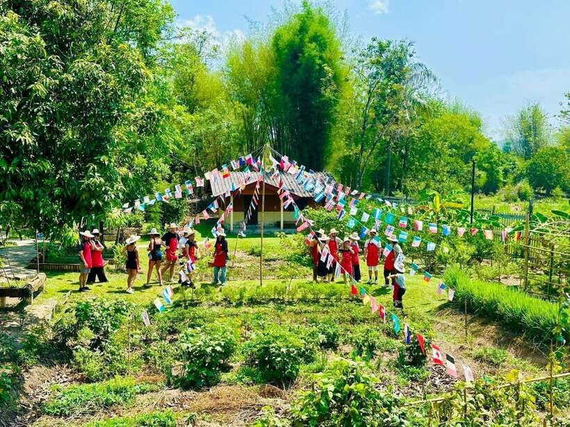 Chiang Mai: Half Day Cooking Class at Organic Farm - Key points at a glance