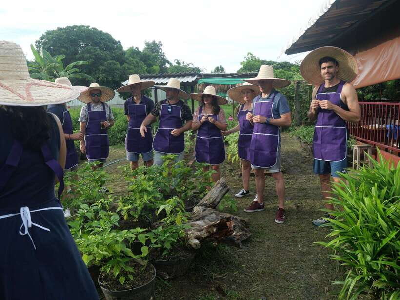 Chiang Mai: Half Day Cooking Class at Organic Farm - Organic herb tasting and the garden tour