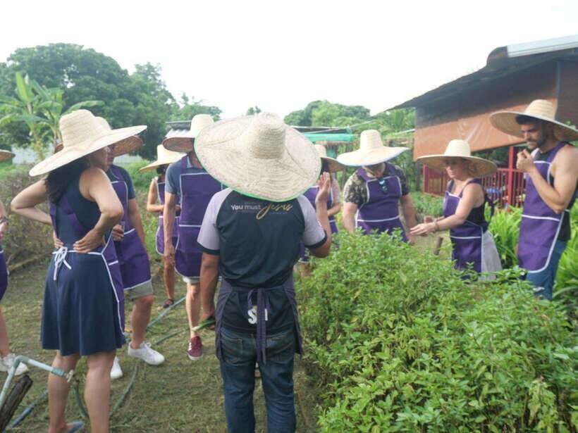 Chiang Mai: Half Day Cooking Class at Organic Farm - Eating in the kitchen garden: what to expect after cooking
