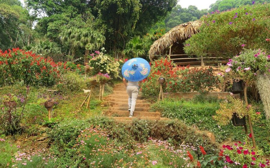 Chiang Mai: Half day Doi Suthep and Meo Village - Key highlights you’ll care about