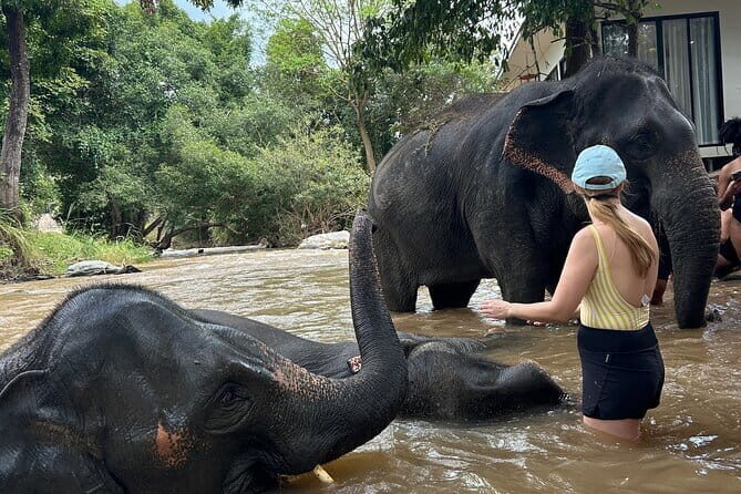 Chiang Mai Half Day Tour: Doi Inthanon Elephant Sanctuary - Key Things to Know Before You Go