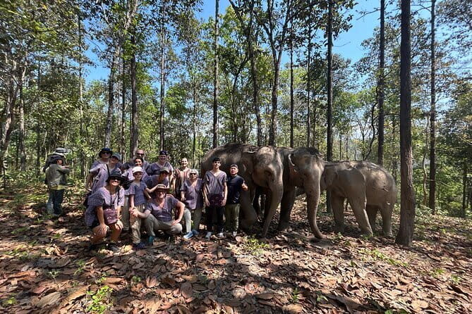 Chiang Mai Half Day Tour: Doi Inthanon Elephant Sanctuary - Doi Inthanon Meets Karen Hill Culture: What You’re Really Buying