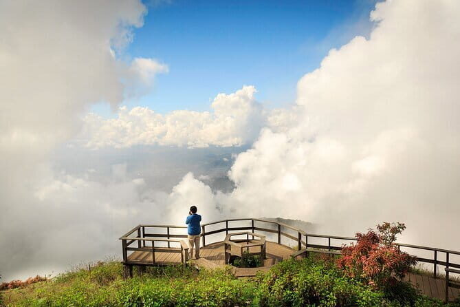 Chiang Mai Half Day Tour: Doi Inthanon Elephant Sanctuary - Price and Value for $55.24: What You Get for the Money