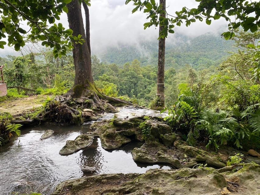 Chiang Mai Half Day Tour: Sticky Waterfall & Hotel Transfer - The drive to Bua Tong: curved roads and motion sickness heads-up
