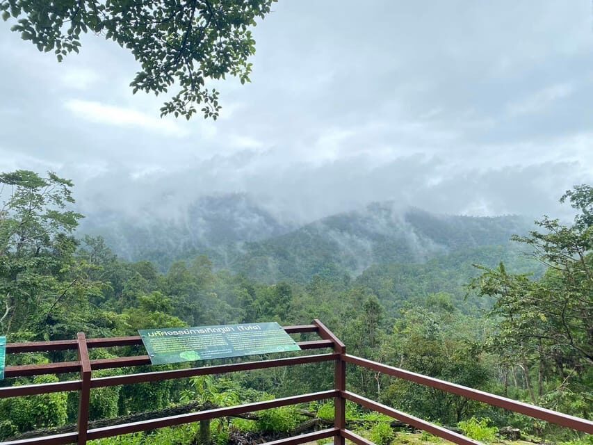 Chiang Mai Half Day Tour: Sticky Waterfall & Hotel Transfer - Climbing the Sticky Waterfalls: the Spider-Man effect