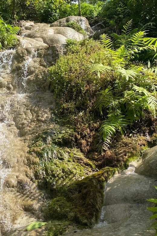 Chiang Mai Half Day Tour: Sticky Waterfall & Hotel Transfer - What to bring (and what to skip) for a smoother climb