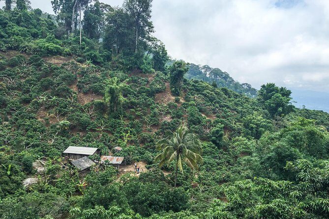 Chiang mai Hike & Downhill Bike Adventure –Suthep National Park - Stop Four: Doi Suthep-Pui National Park Downhill for About Two Hours