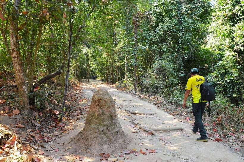 Chiang Mai: Hike on Monk’s Trail and Doi Suthep Private Tour - Wat Pha Lat: The Quiet Temple Stop That Changes the Mood