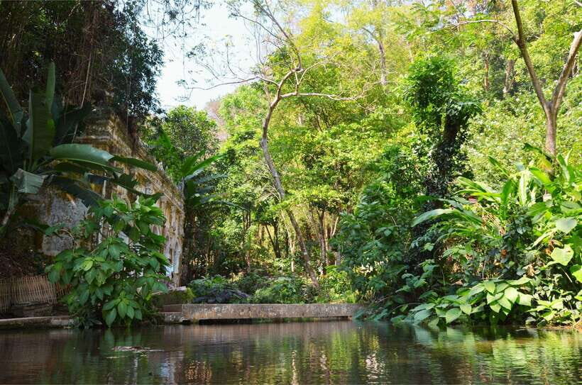 Chiang Mai: Hike on Monk’s Trail and Doi Suthep Private Tour - What to Bring (and What to Wear) So the Mountain Feels Easy