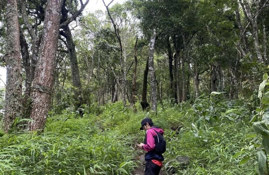 Chiang Mai: Hmong Village, Doi Suthep and Wat Pha Lat Trek - Doi Suthep-Pui National Park: nature time between stops