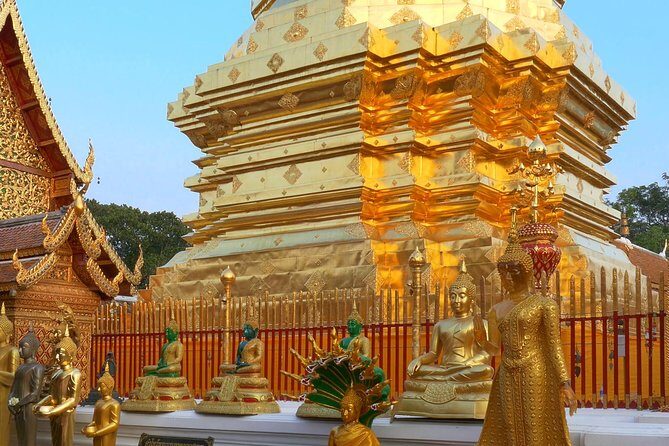 Chiang Mai Iconic Temples and City Tour - Stop 2: Wat Suan Dok and the Bell-Shaped Stupa