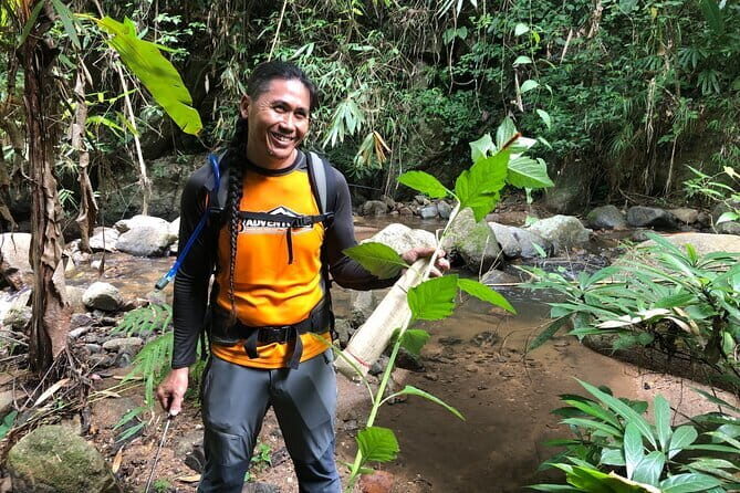 Chiang Mai: Inthanon, Elephant Sanctuary Observation & Waterfall - Pha Dok Siew nature trail and waterfall time