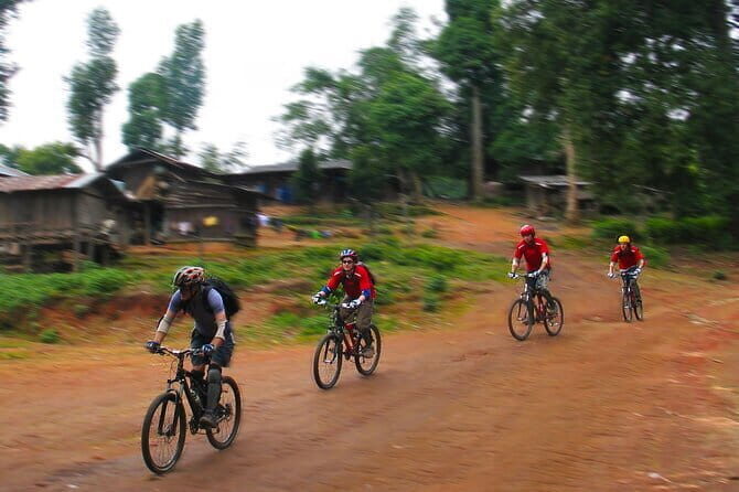 Chiang Mai: Inthanon, Elephant Sanctuary Observation & Waterfall - Mae Klang Luang: Karen village as a living museum