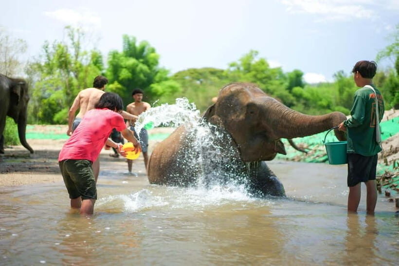 Chiang Mai: Jungle Jumbo Elephant Sanctuary with Waterfall - Elephant Sanctuary Time: Feeding, Mud Play, and River Washing Without Riding