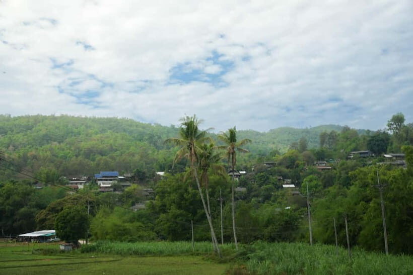 Chiang Mai: Jungle Jumbo Elephant Sanctuary with Waterfall - What to Bring to the Jungle: Your Day Depends on It