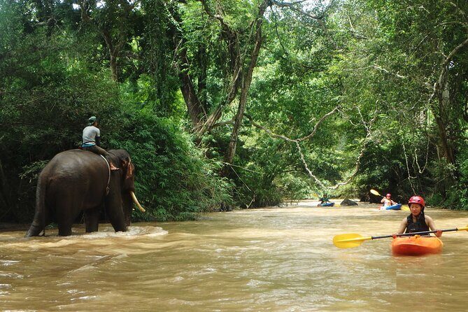 Chiang Mai: Jungle Kayak Adventure with Rapids & Elephants - Lost Canyon and the Class III–IV Rapids Option
