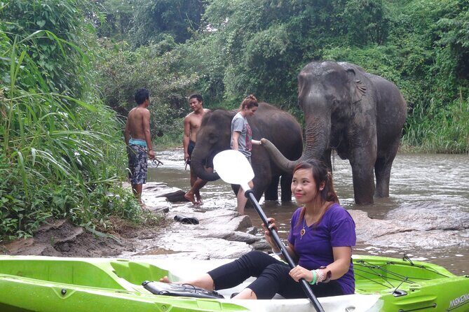 Chiang Mai: Jungle Kayak Adventure with Rapids & Elephants - Riverside Lunch Break and Your Midday Reset
