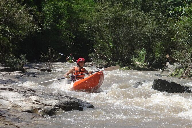 Chiang Mai: Jungle Kayak Adventure with Rapids & Elephants - What to Bring: Sun, Water Shoes, and Horse Fly Reality