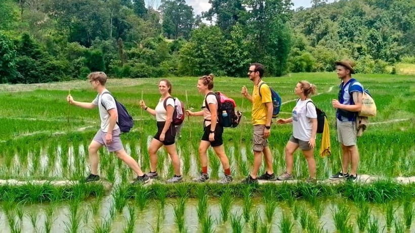 Chiang Mai: Jungle Trek, Elephants care & Bamboo Rafting - A full day of jungle and river time, built for motion