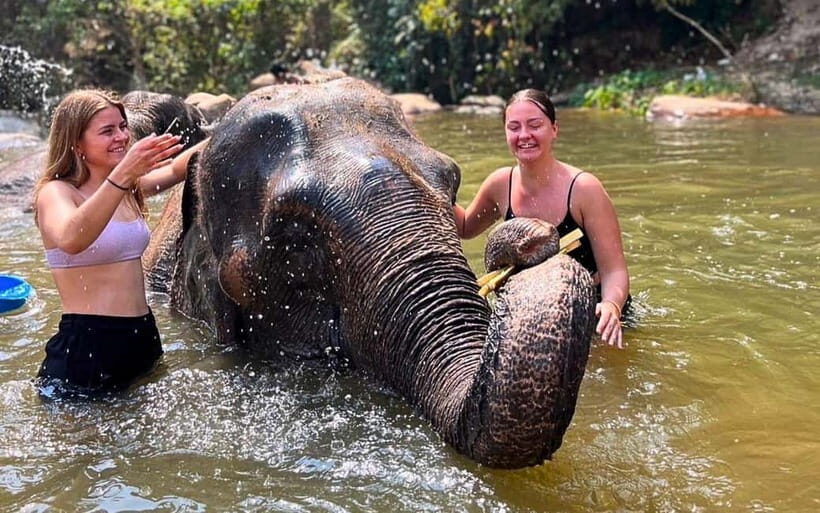 Chiang Mai: Jungle Trek, Elephants care & Bamboo Rafting - Bamboo rafting on a jungle river: calm water, real paddling