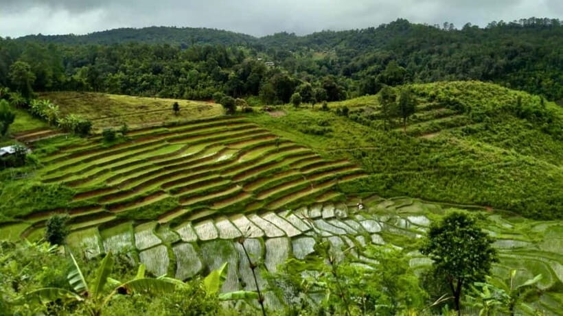 Chiang Mai: Jungle Trek, Elephants care & Bamboo Rafting - Jungle trek and the waterfall swim: where your day either shines or drags