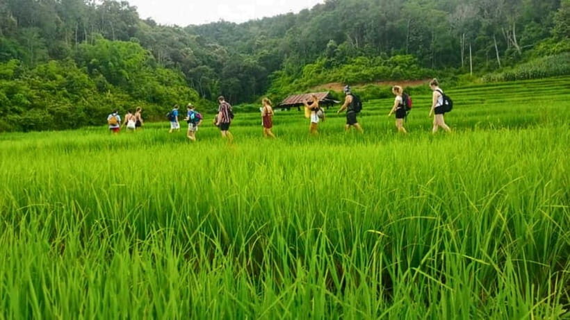 Chiang Mai: Jungle Trek, Elephants care & Bamboo Rafting - What to bring (so the day doesn’t turn annoying)