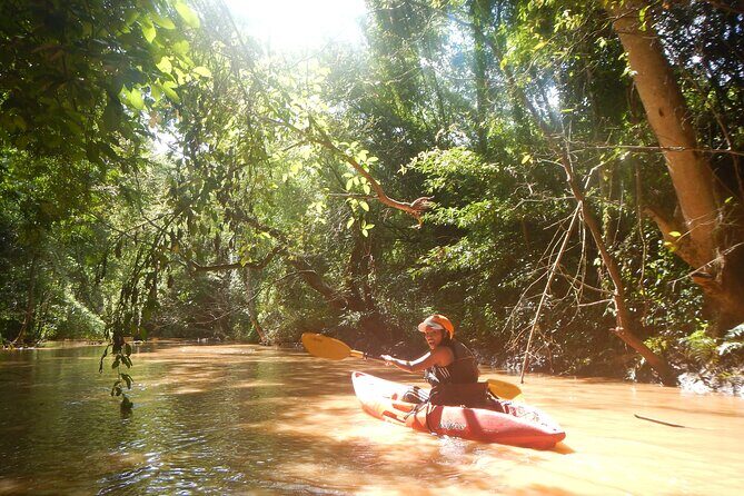 Chiang Mai : Kayak the Jungle Rivers of Chiang Dao Valley! - Wildlife Spotting Time: Birds, Fish, and River Life