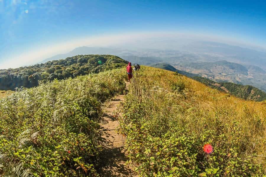 Chiang Mai: Kew Mae Pan Nature Trail & Doi Inthanon Day Trip - Key moments worth planning for