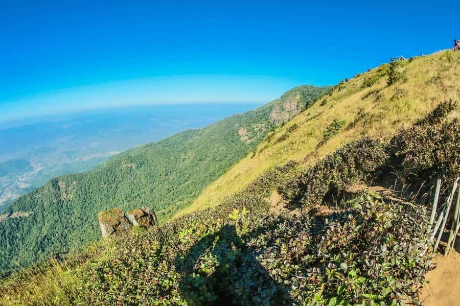 Chiang Mai: Kew Mae Pan Nature Trail & Doi Inthanon Day Trip - Kew Mae Pan Nature Trail: a forest walk built for your senses